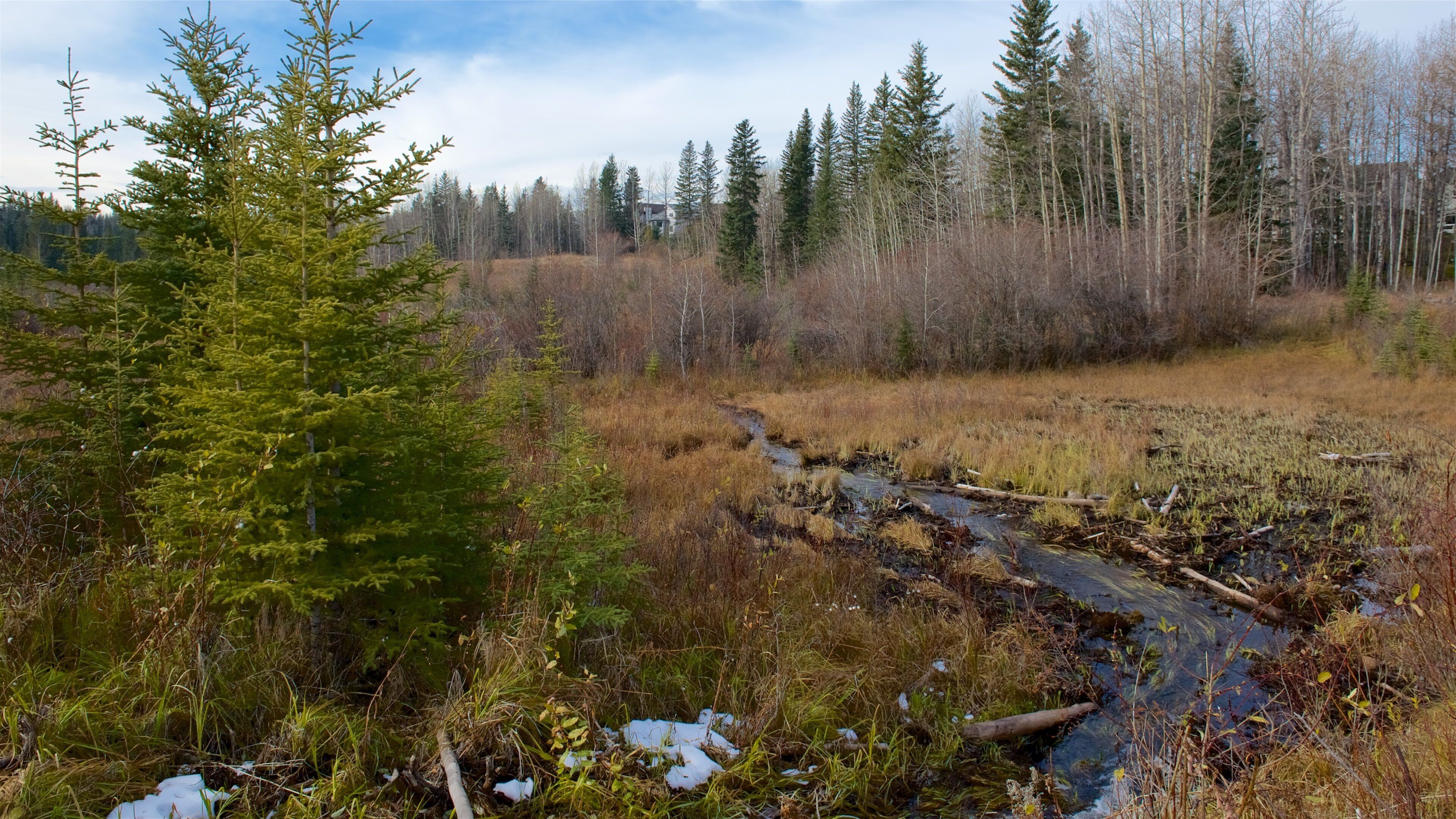 Jasper National Park featuring tranquil scenes
