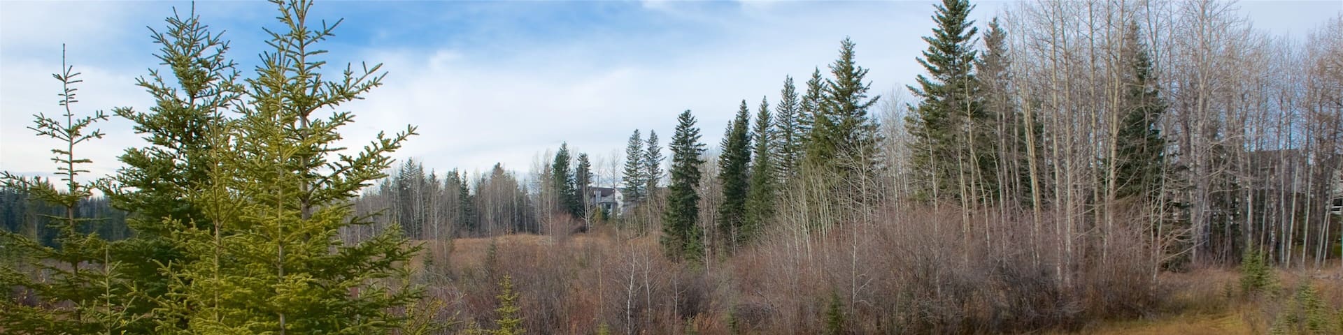 Jasper National Park which includes tranquil scenes