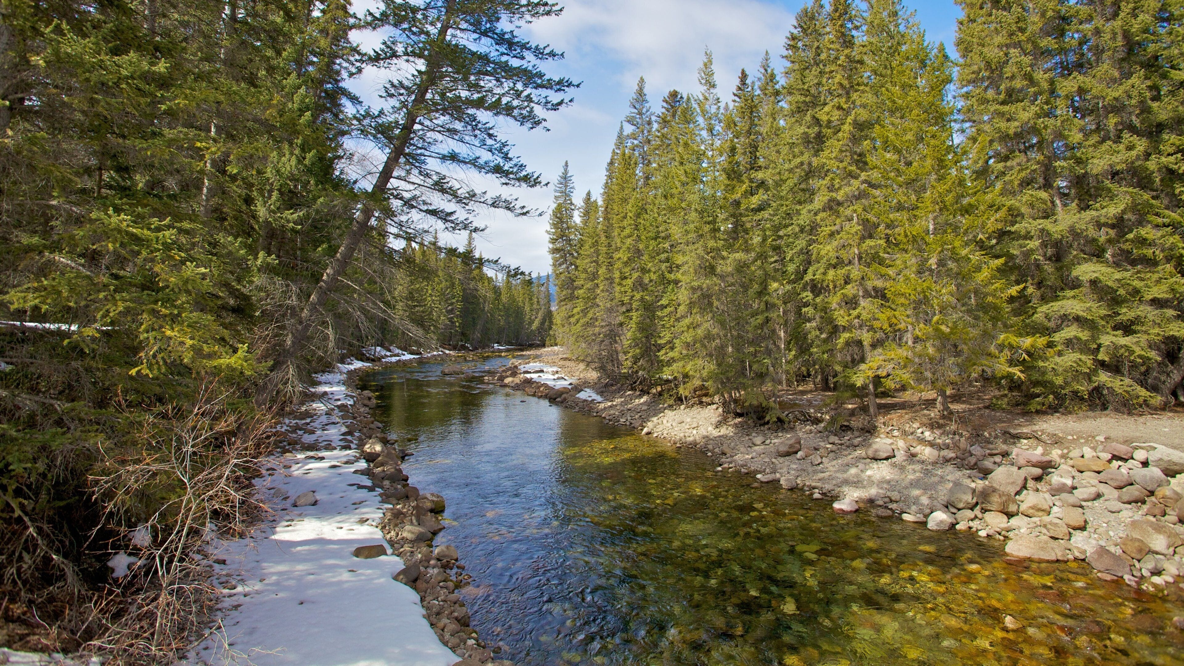 Jasper National Park which includes forest scenes and a river or creek