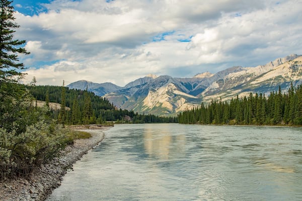 A river flowing through a forest with mountains in the background.