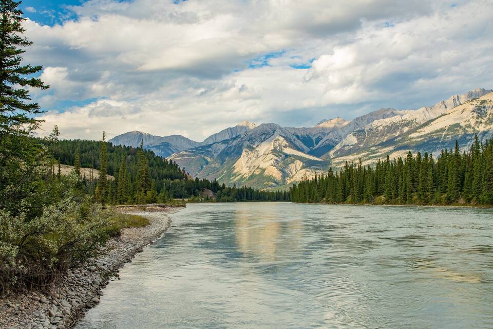 A river flowing through a forest with mountains in the background.