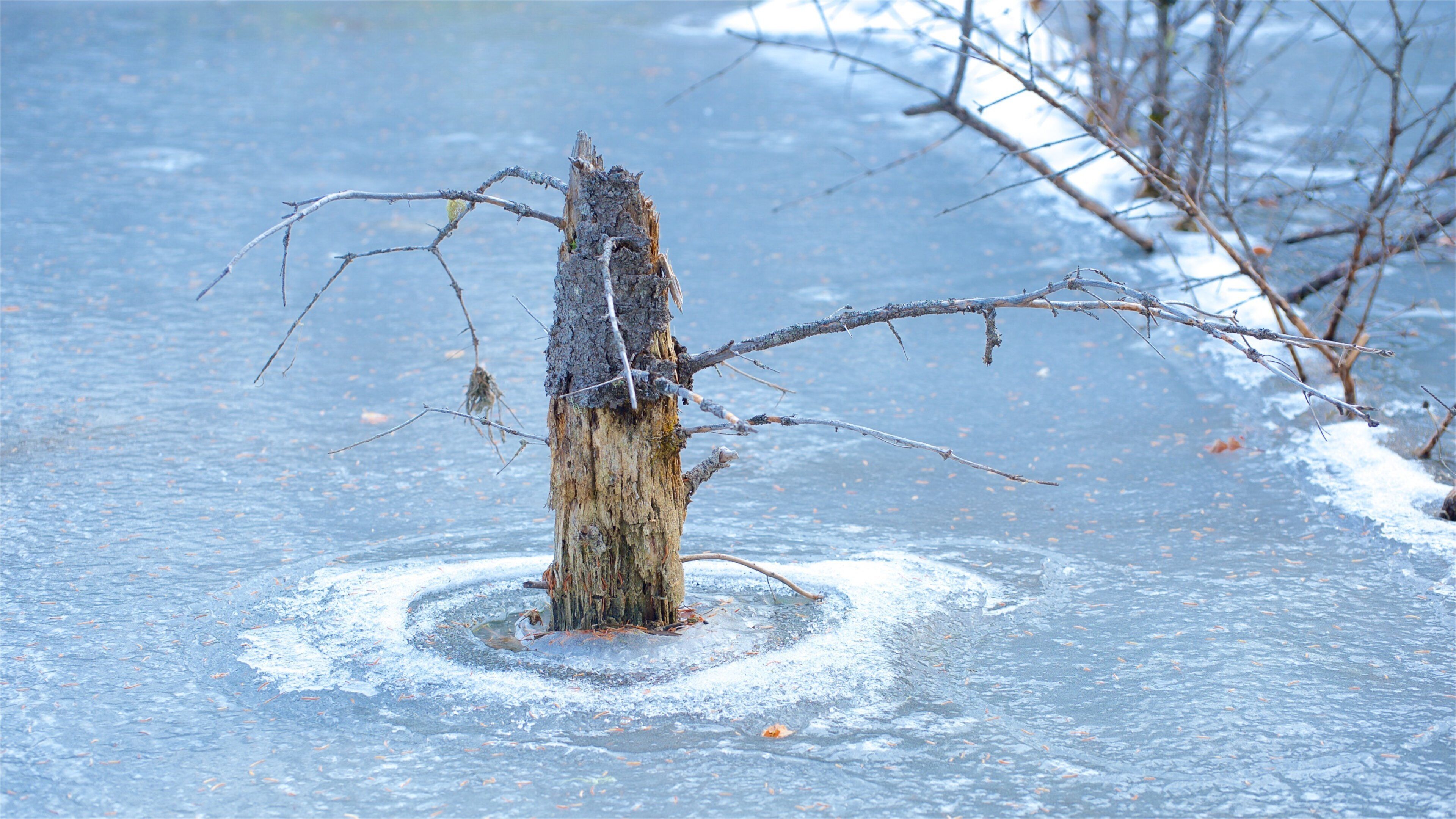 Jasper National Park