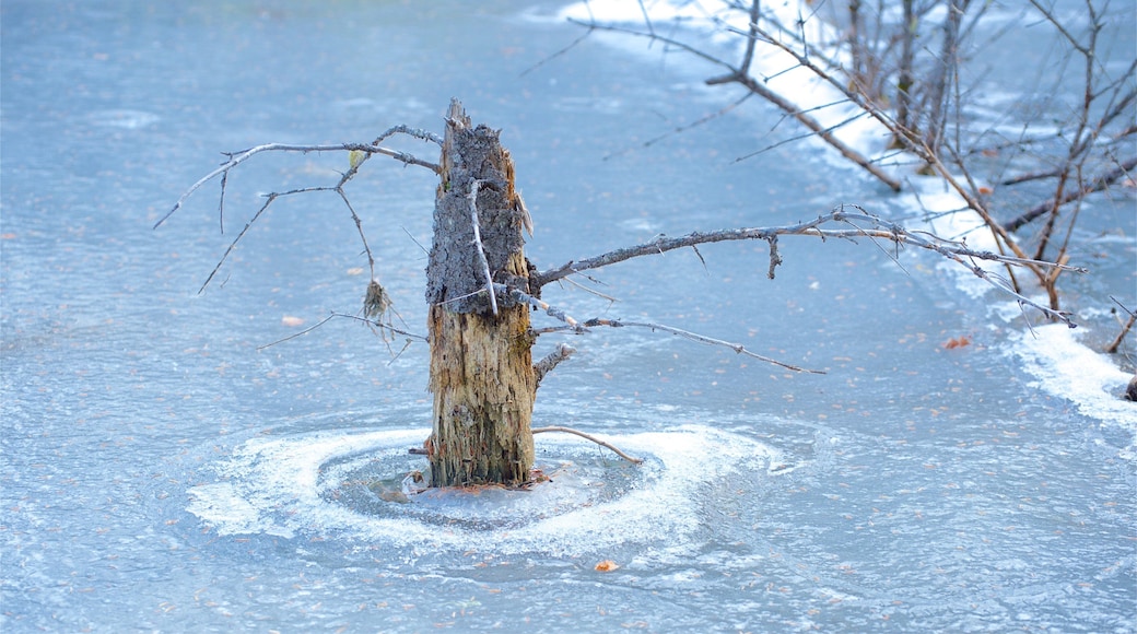 Jasper National Park