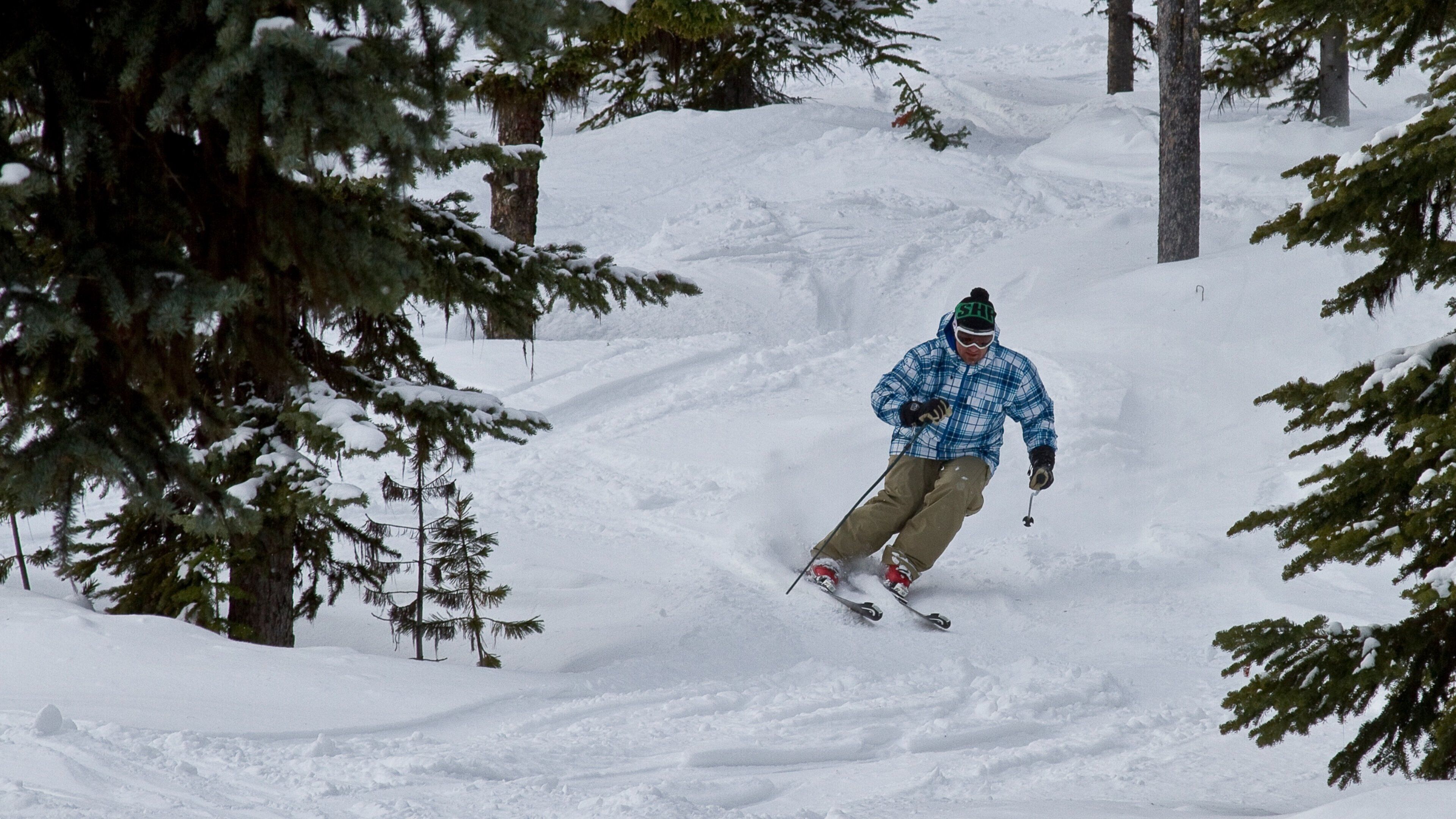 Kimberley Alpine Resort mostrando esqui cross-country e neve