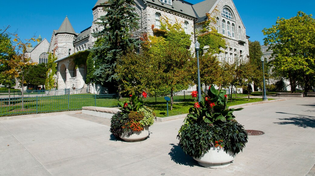 Queen's University