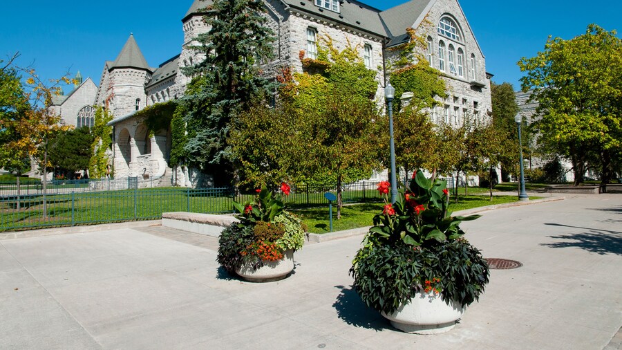 Queen's University