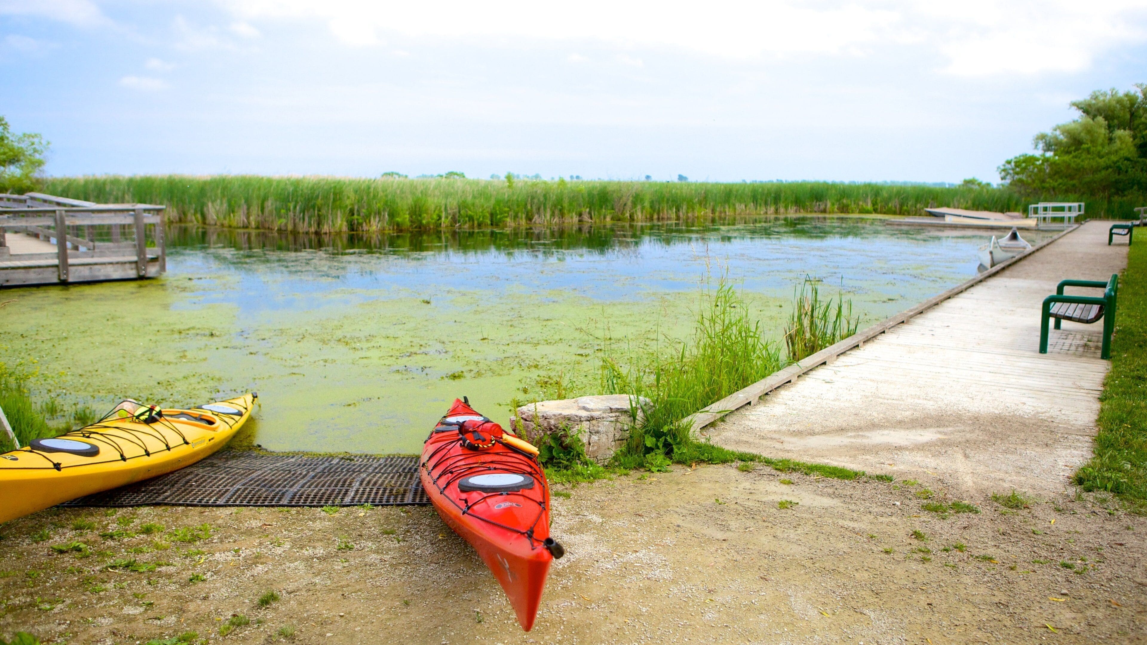 Point Pelee National Park som viser innsjø