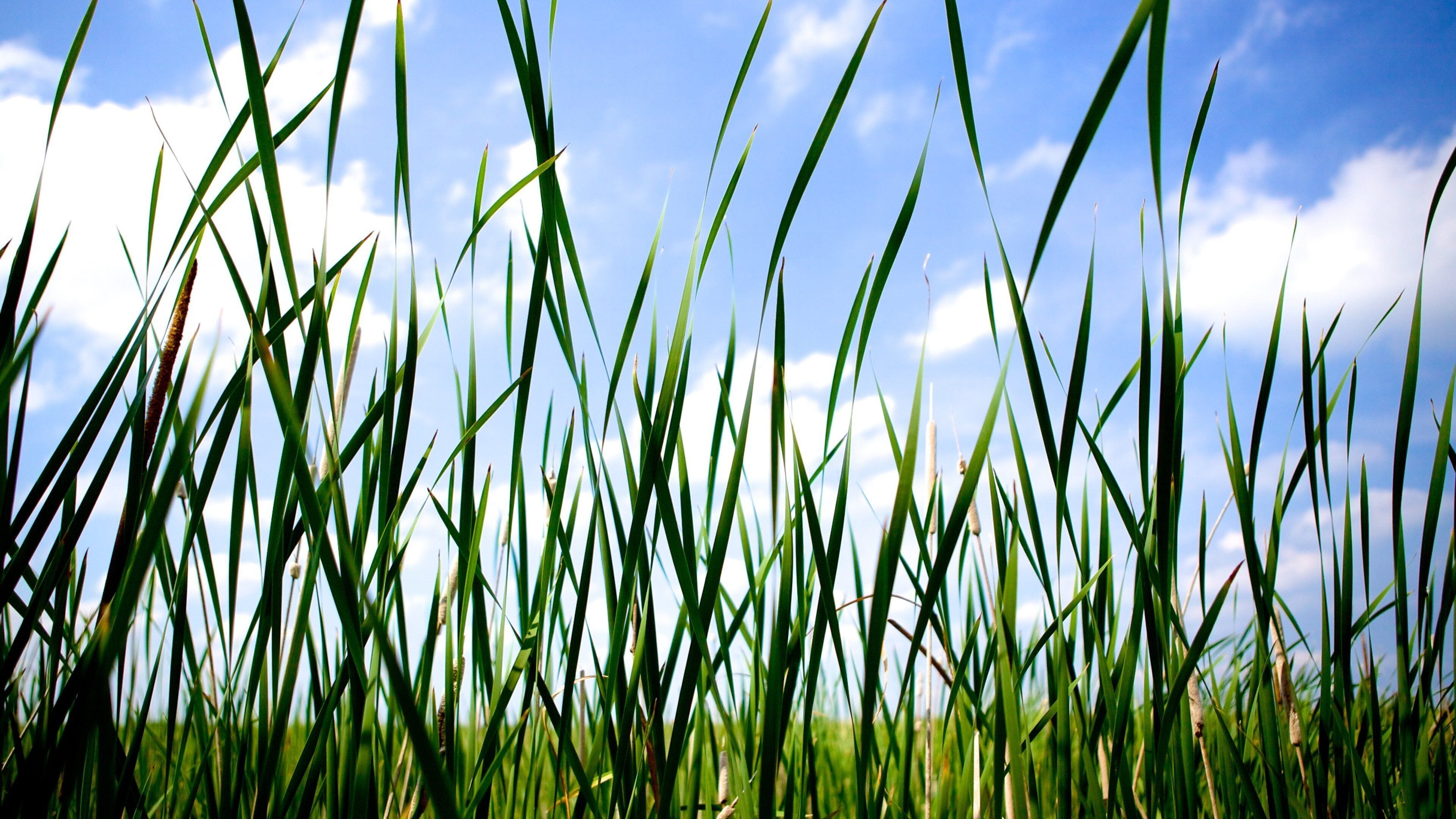 Point Pelee National Park