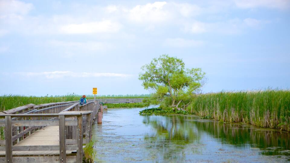 A wooden bridge over a calm river, surrounded by lush greenery and a clear sky.