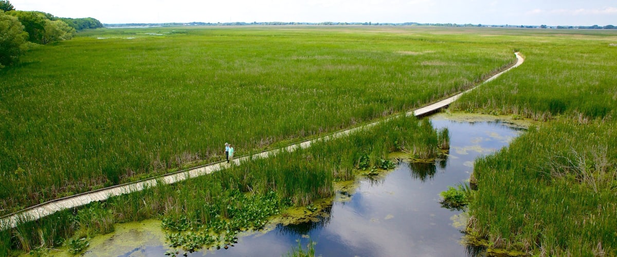 Point Peleen kansallispuisto joka esittää rauhalliset maisemat, suo ja silta