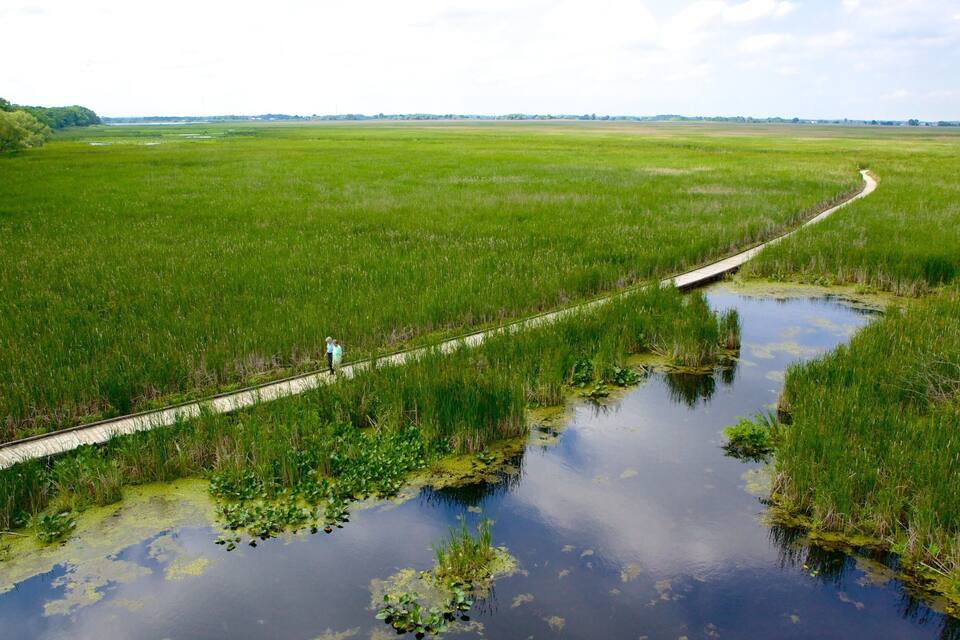 Un canal estrecho con un puente de madera, rodeado de campos verdes exuberantes y una lejanía de árboles.
