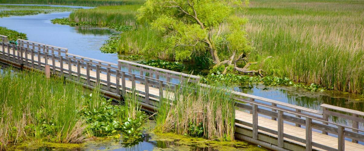 Point Nepean National Park mit einem Sumpfgebiet und Brücke