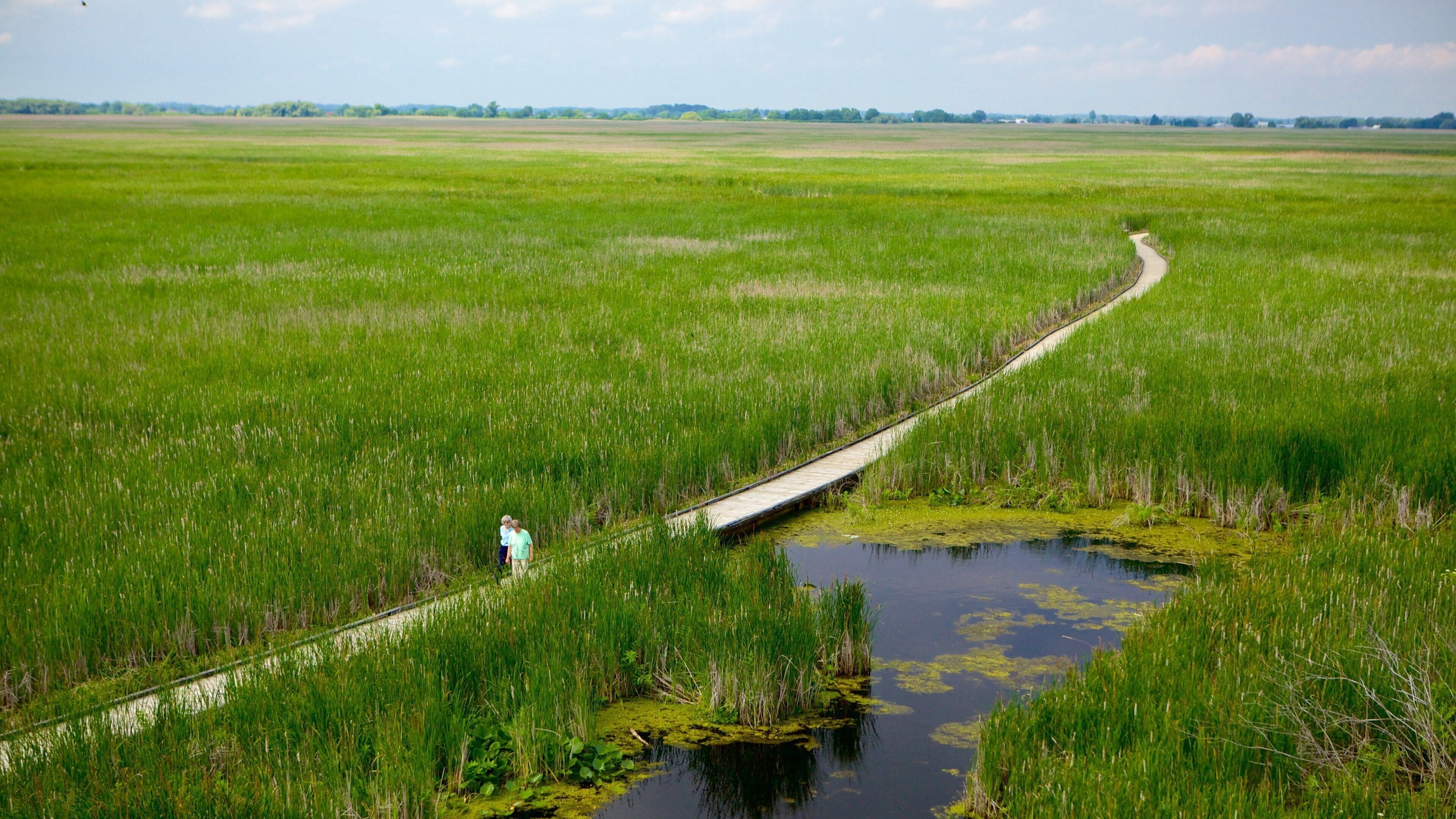 Parc national de Point Pelee