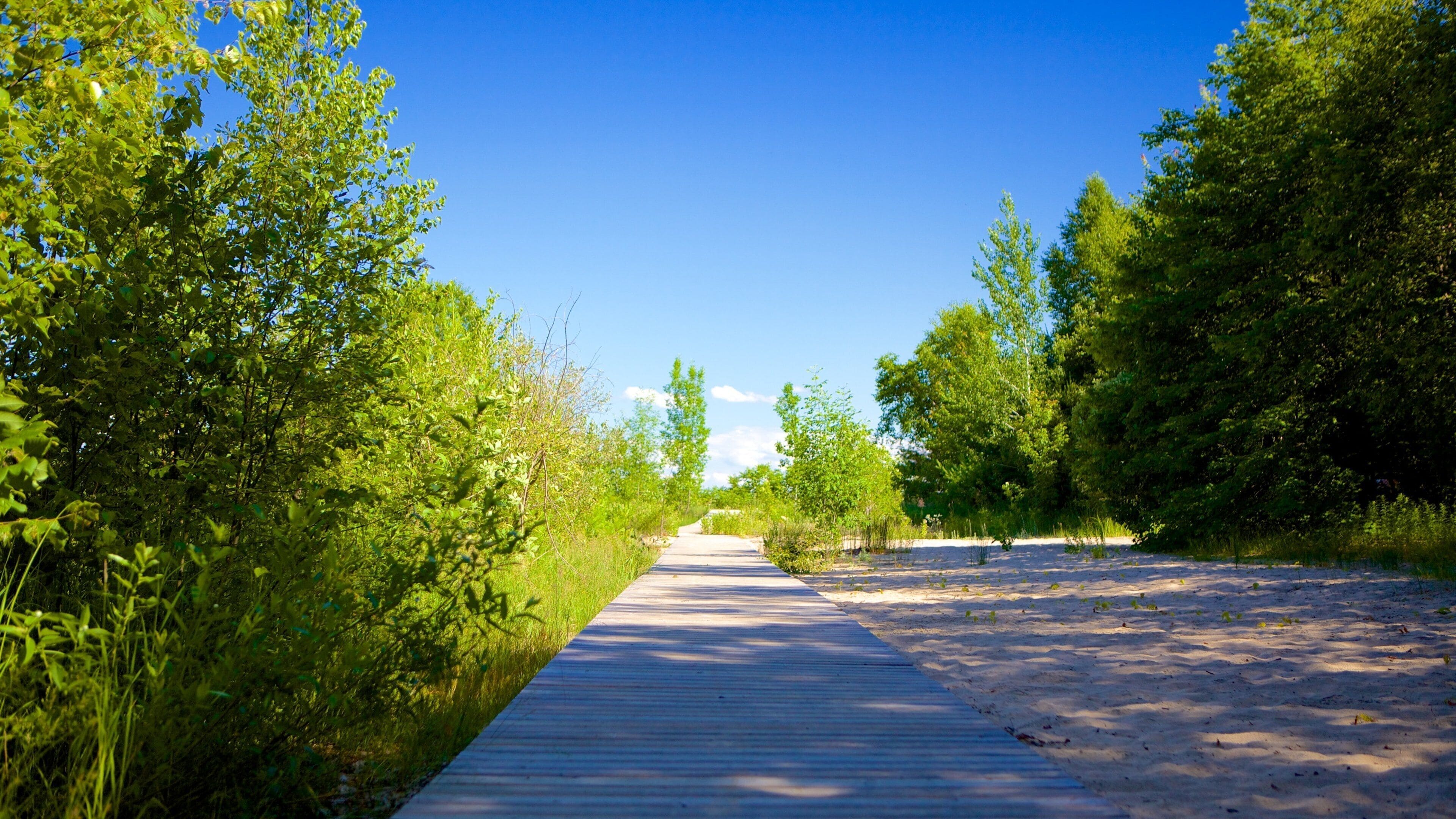 Georgian Bay Islands National Park