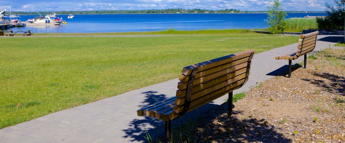 A lakeside park with benches and a boat dock.
