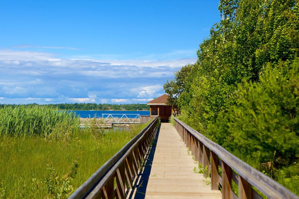 A wooden boardwalk leading to a small structure by a lake, surrounded by lush greenery.