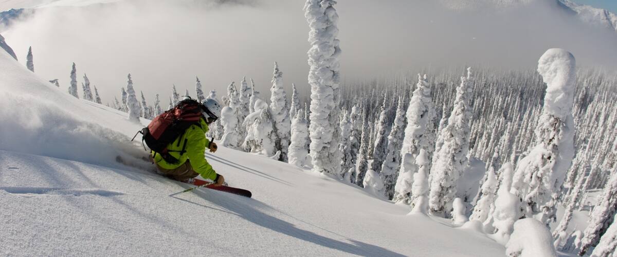 Whitewater Ski Resort welches beinhaltet Skifahren, Nebel und Wälder