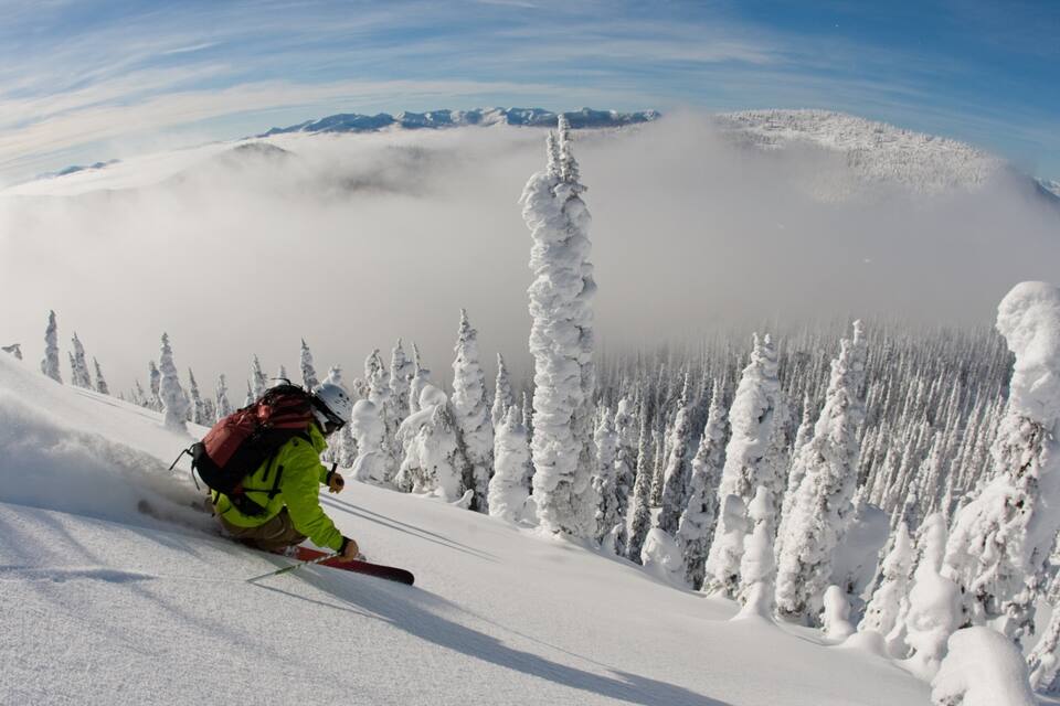 A skier descending a snow-covered slope with tall, snow-laden trees and distant mountains under a clear sky.