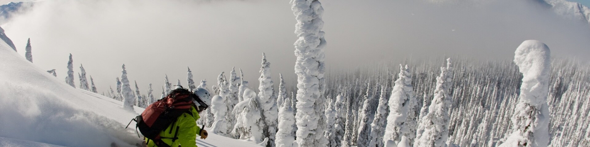 Whitewater Ski Resort showing snow, forest scenes and mist or fog