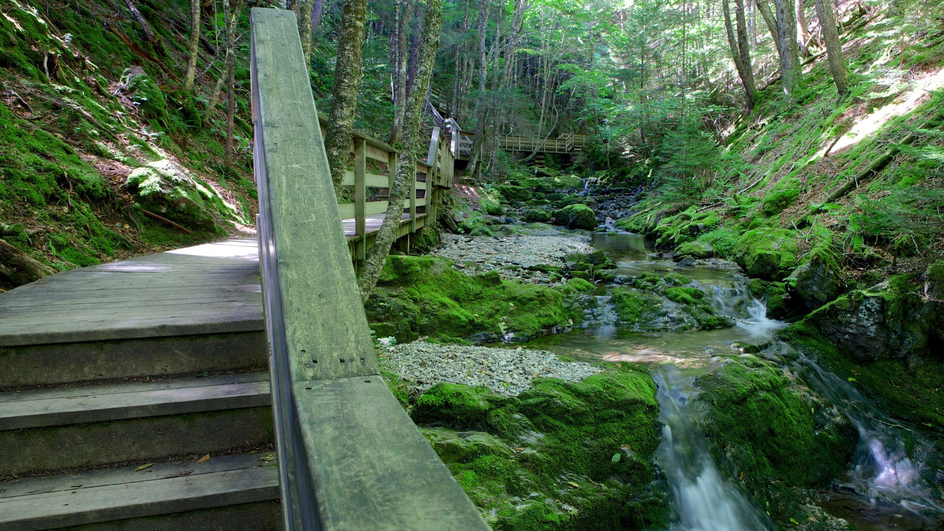 Parc national de Fundy