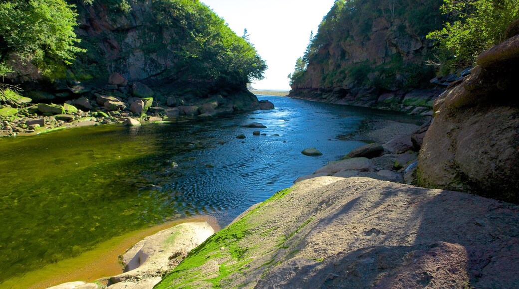 National park Fundy toont een kloof of ravijn en een rivier of beek