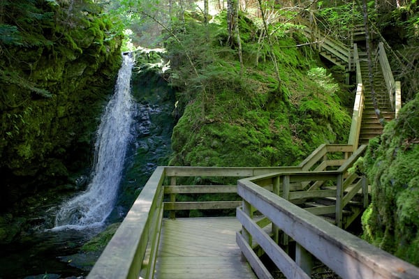 A wooden staircase leading to a waterfall surrounded by dense green forest.