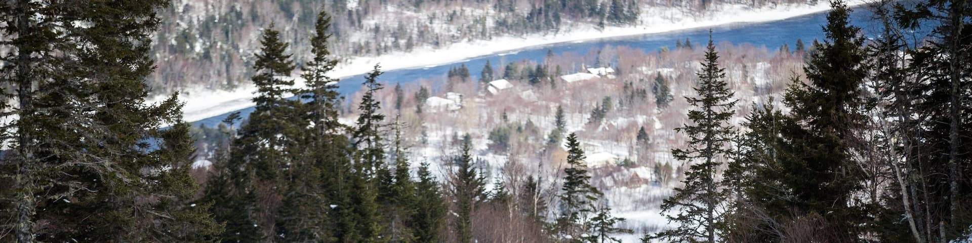 Marble Mountain featuring snow and forests