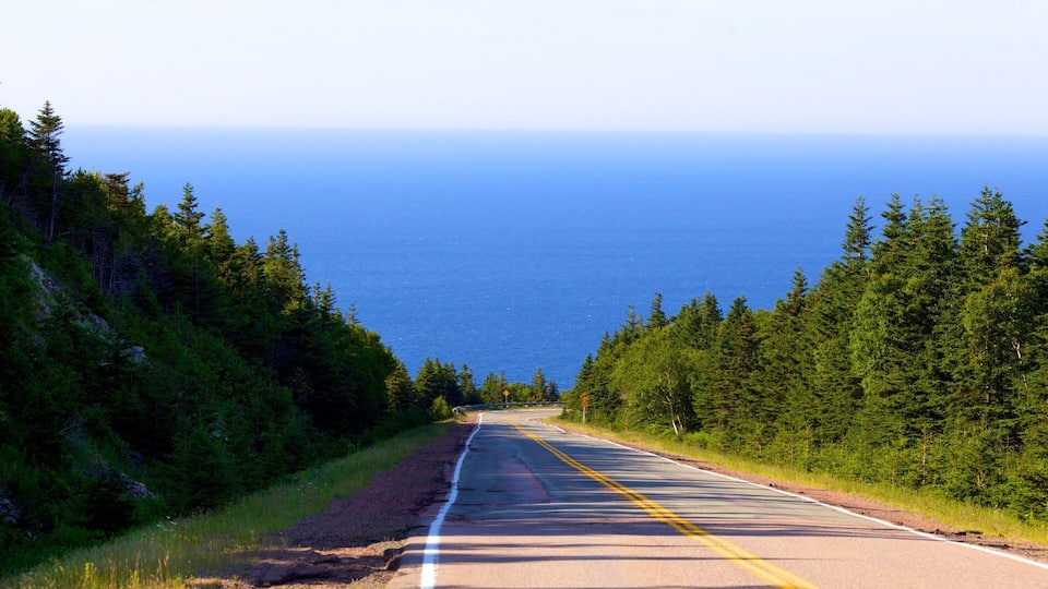 A coastal road flanked by dense forests and the ocean.