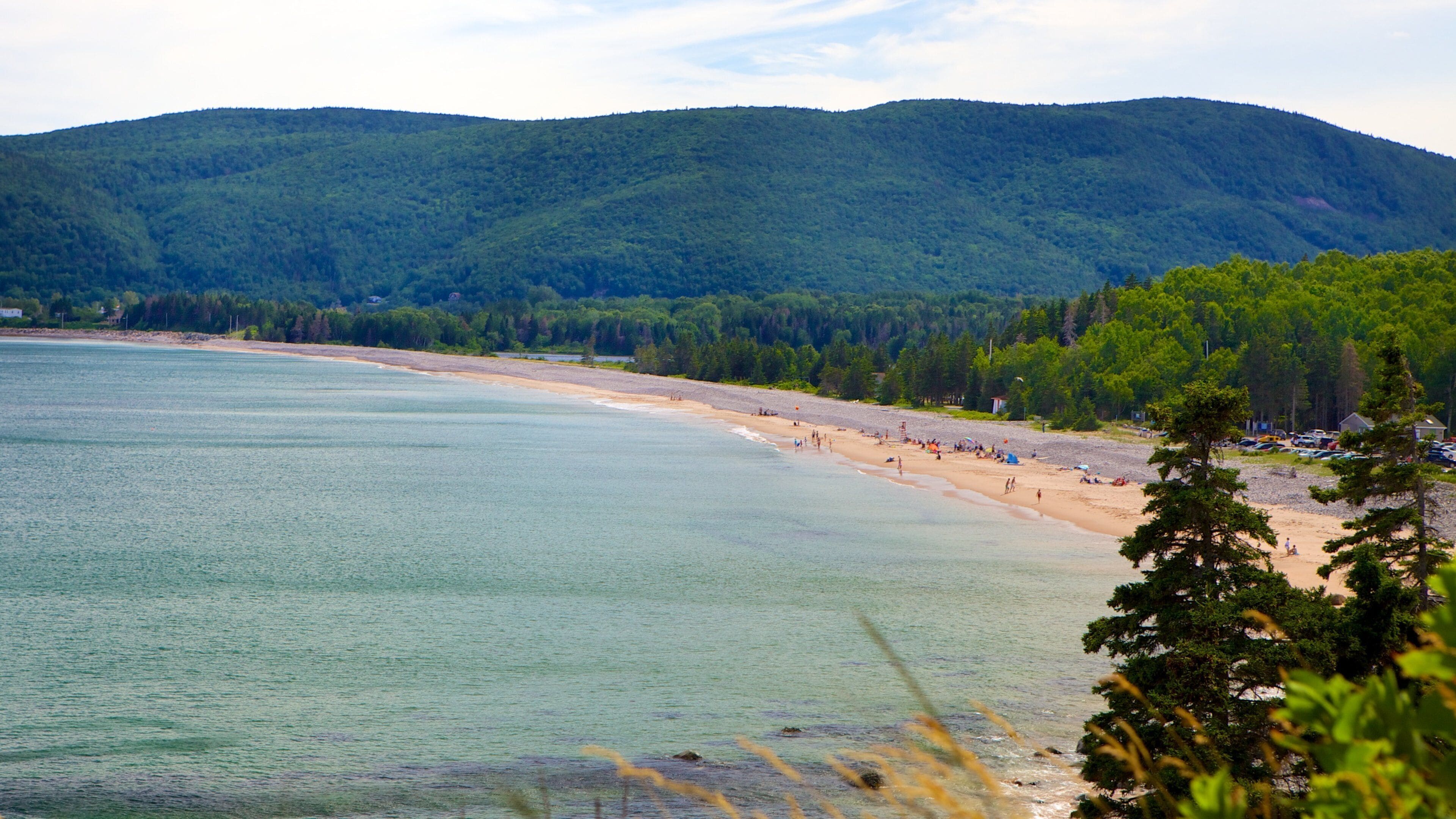 A beach with clear water, a sandy shore, and a forested mountain in the background.