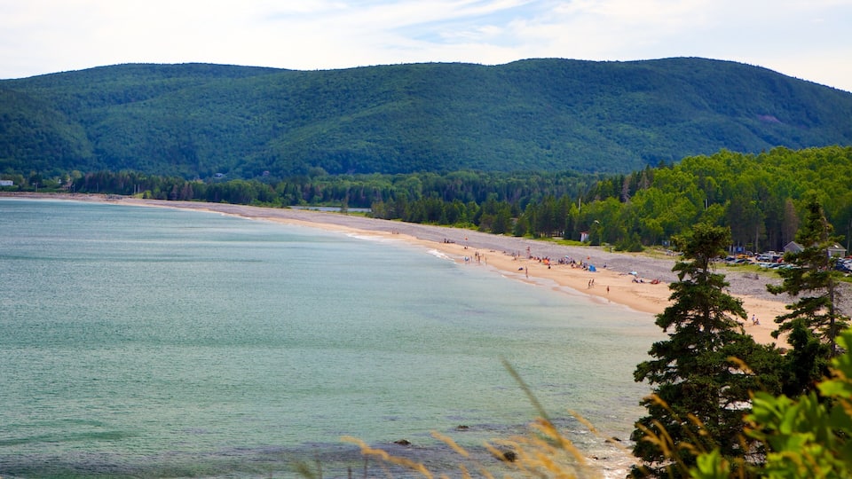 A beach with clear water, a sandy shore, and a forested mountain in the background.