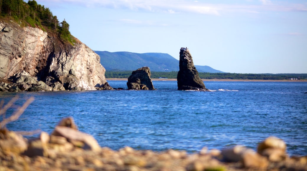 Cape Breton Island showing rugged coastline