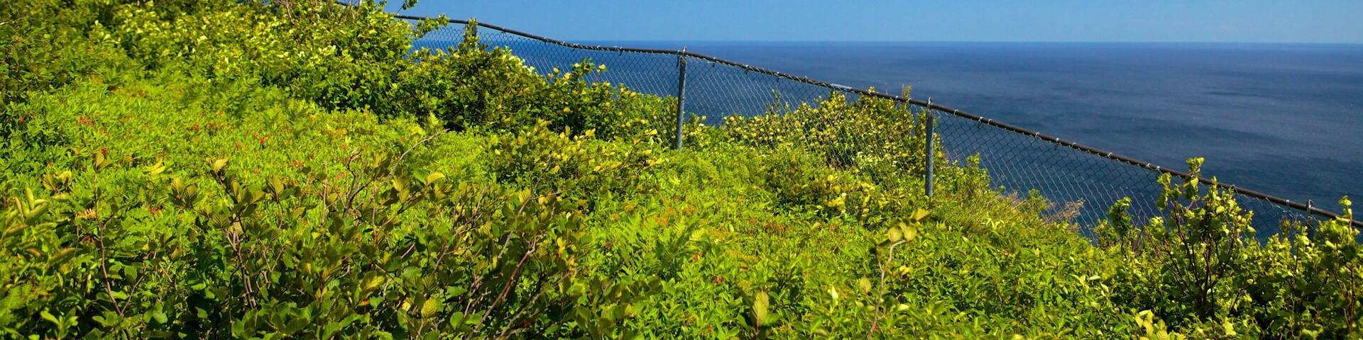 Ski Cape Smokey featuring general coastal views