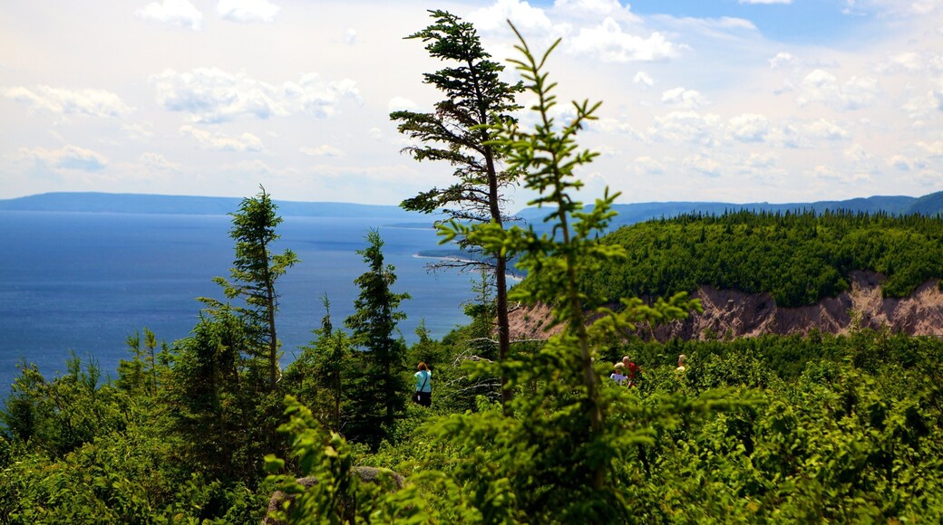 Cape Smokey which includes general coastal views
