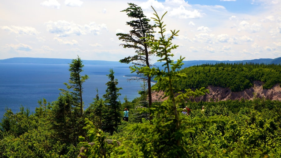 Cape Smokey che include vista della costa
