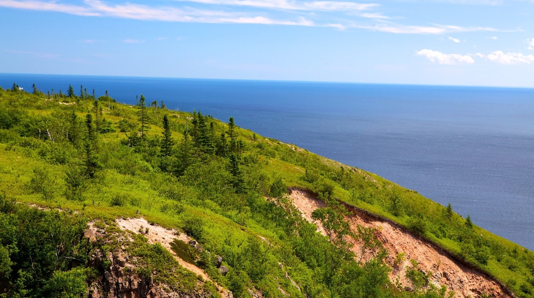 Cape Smokey fasiliteter samt kyst