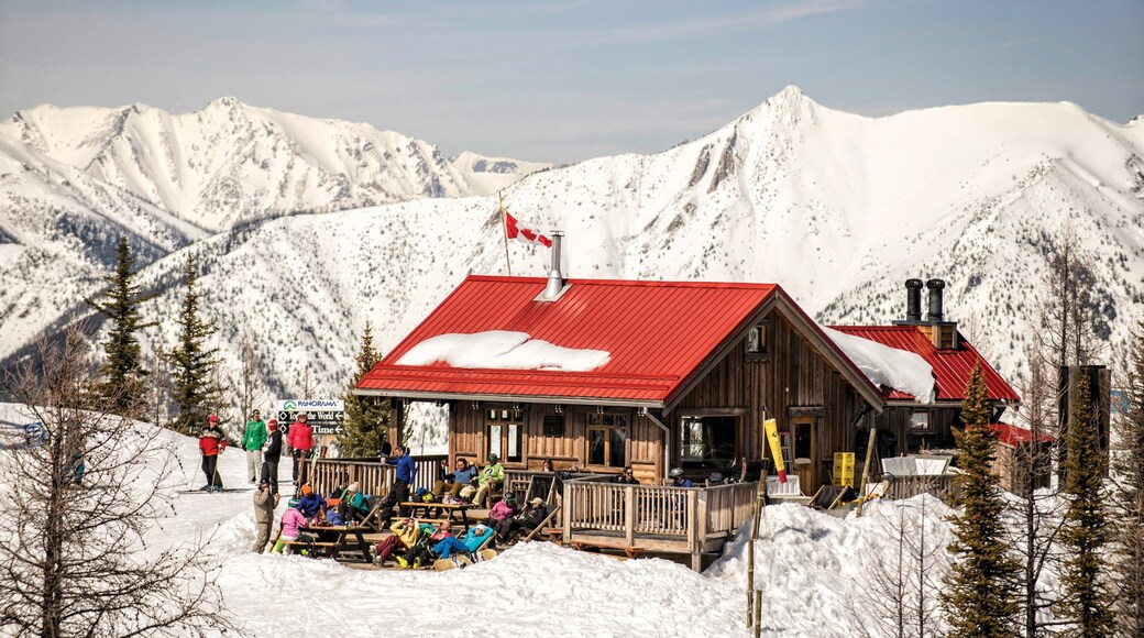 Panorama Mountain Ski Area which includes mountains, snow and apres ski
