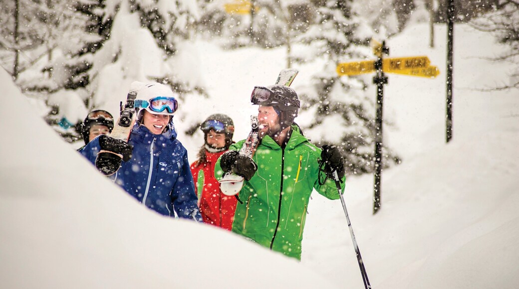 Estación de esquí Panorama Mountain mostrando nieve y paseo en raquetas de nieve y también un pequeño grupo de personas