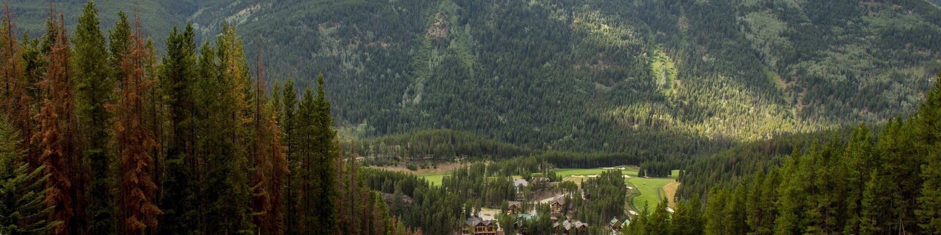 Estación de esquí Panorama Mountain ofreciendo bicicletas de montaña, montañas y escenas tranquilas