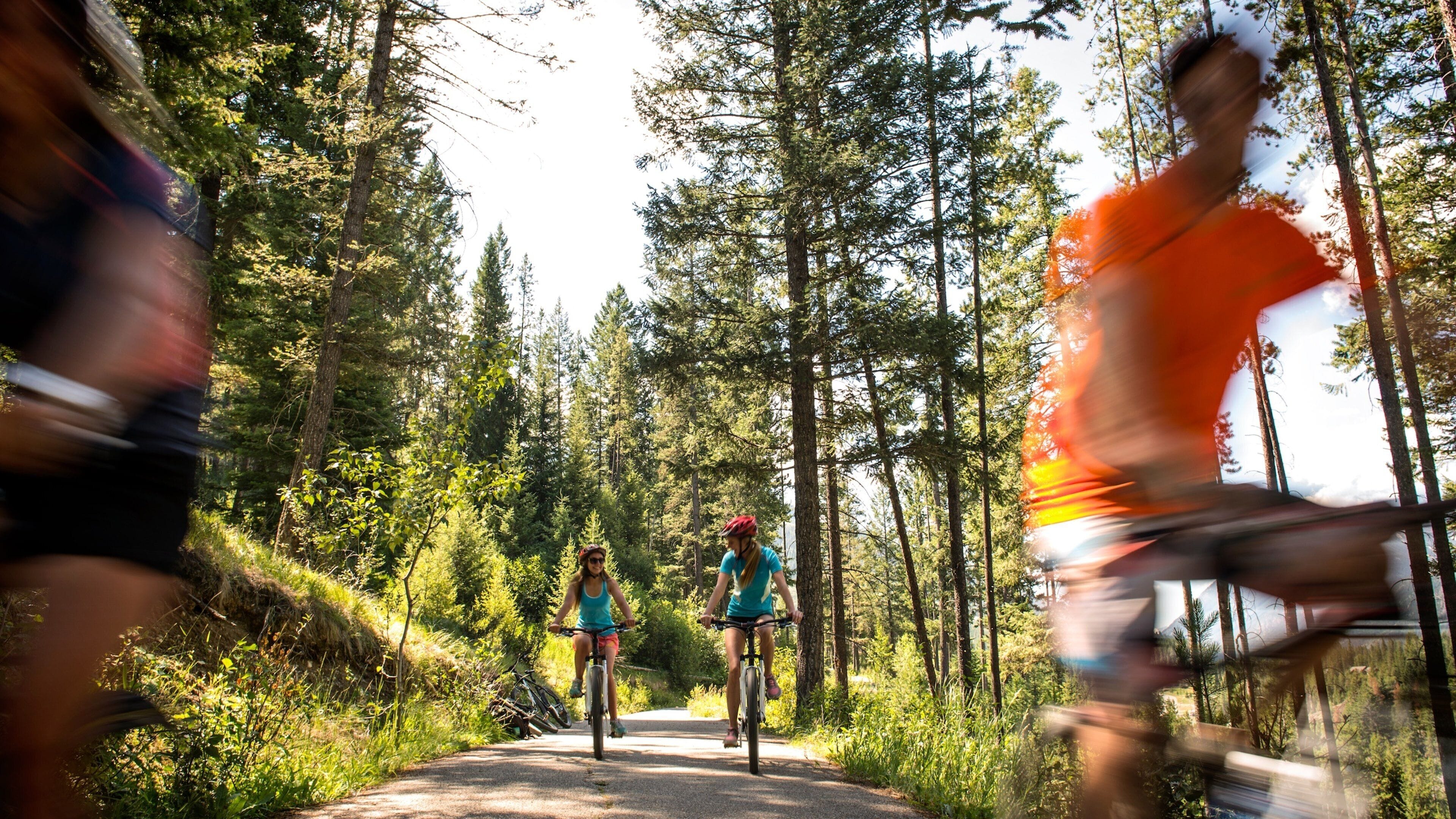 Panorama Mountain Ski Area inclusief fietsen en vredige uitzichten en ook een klein groepje mensen