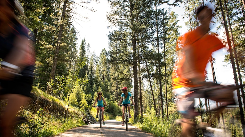 Panorama Mountain Ski Area inclusief fietsen en vredige uitzichten en ook een klein groepje mensen