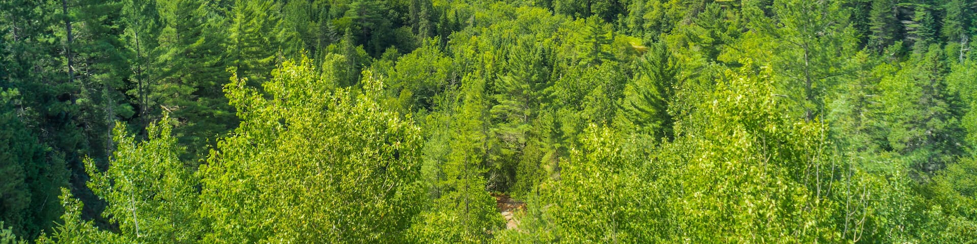 Panorama from the top of the observation tower in Parc des Chutes-de-la-Petite-Rivière-Bostonnais, La Tuque, Quebec, Canada