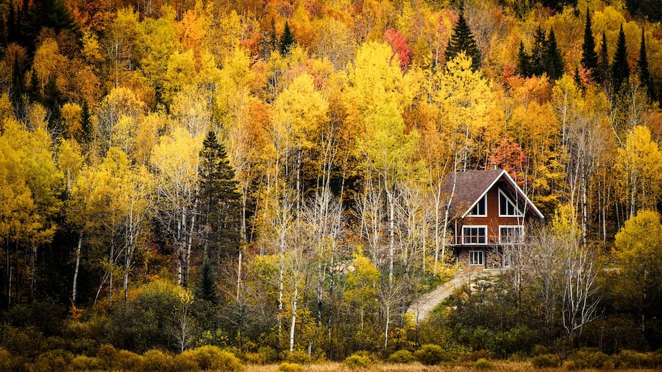 A house surrounded by autumn-colored trees.