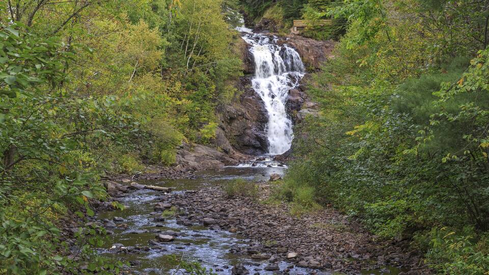 A waterfall in a forested area with a rocky stream below.