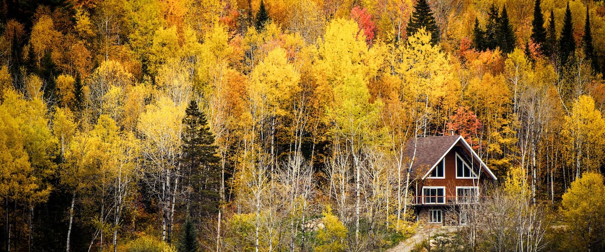 A house surrounded by autumn-colored trees.