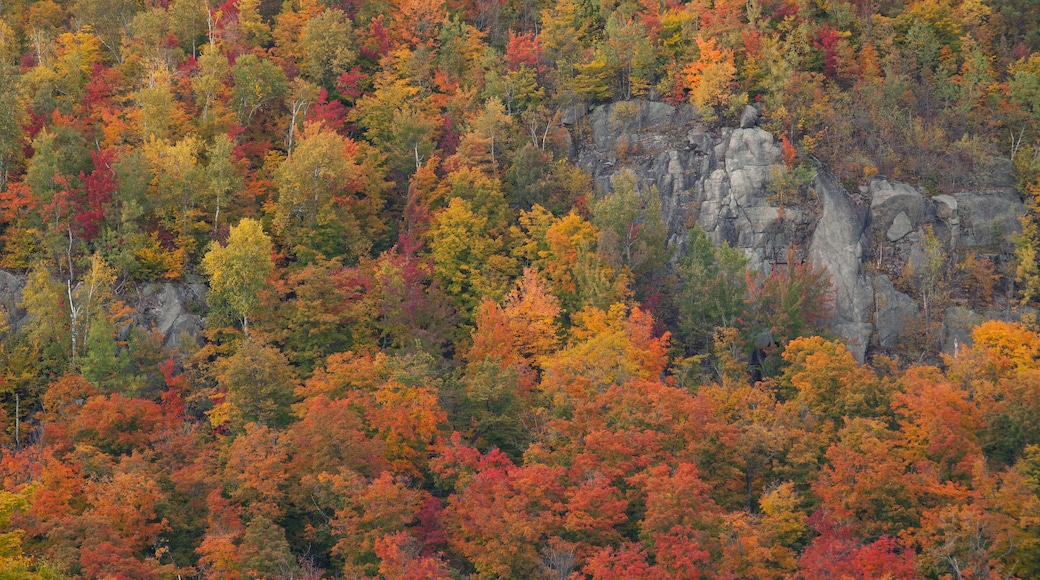 Morin Heights Ski Area in Autumn, Laurentians, Quebec