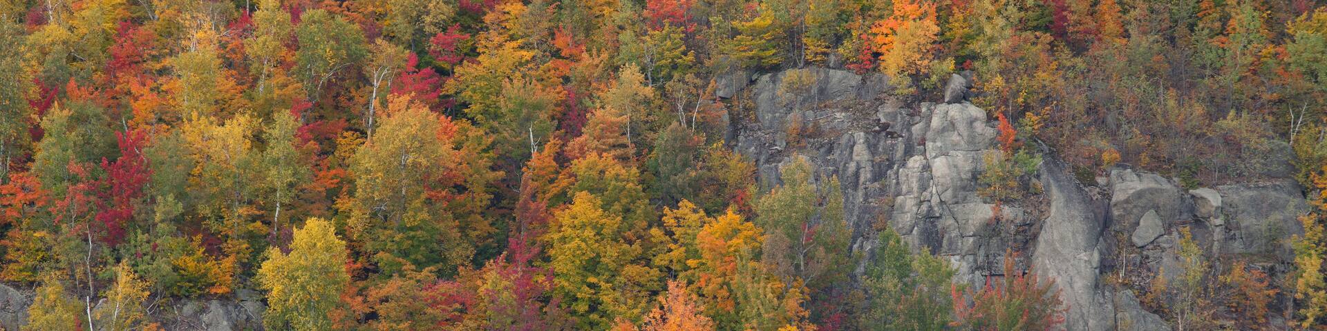 Morin Heights Ski Area in Autumn, Laurentians, Quebec