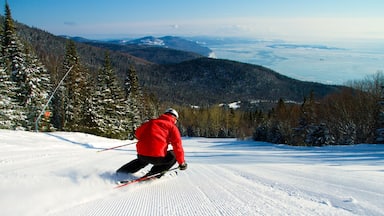 Le Massif de Charlevoix johon kuuluu joki tai puro, hiihto ja lunta