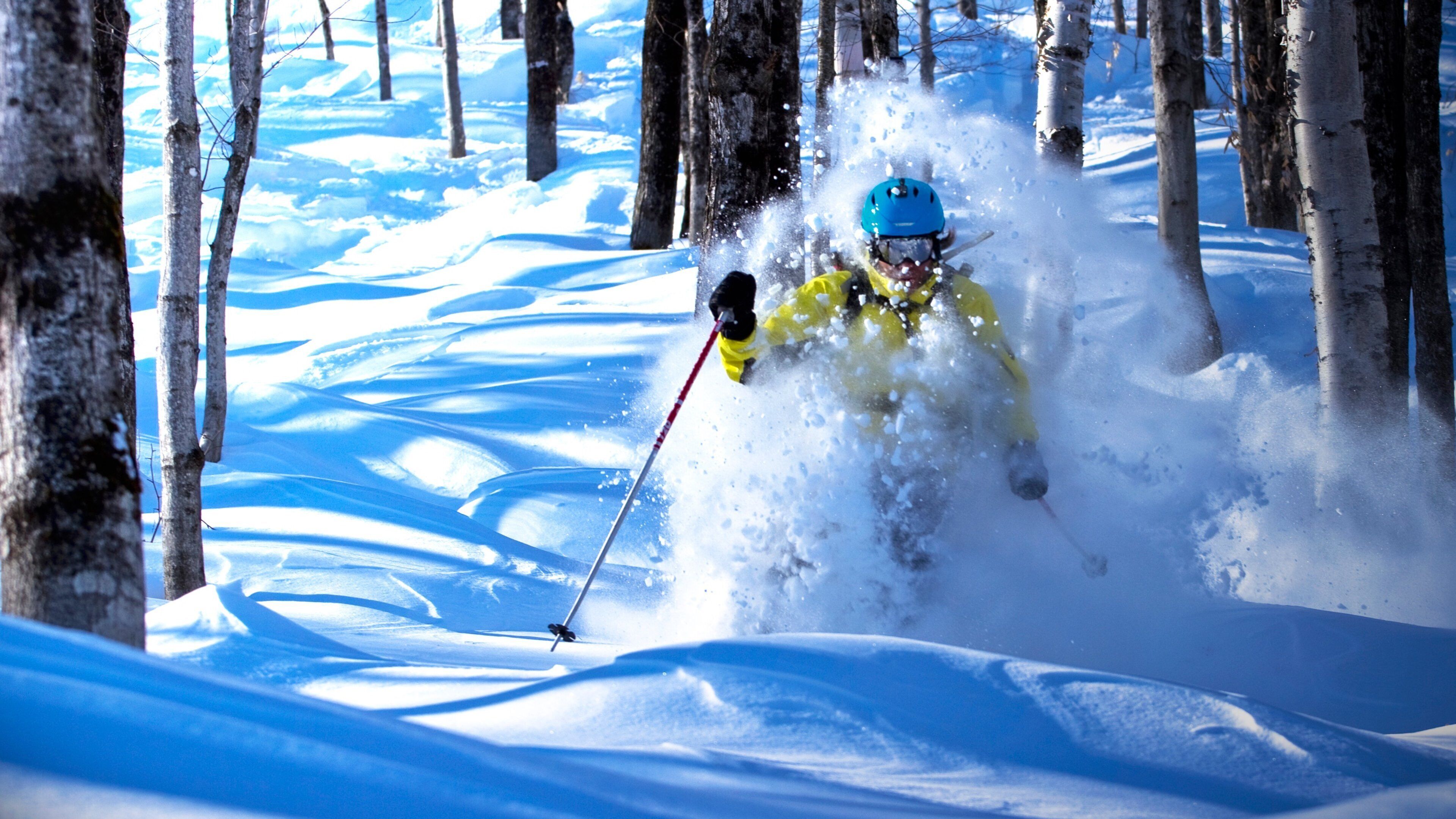 Estación de esquí Le Massif de Charlevoix que incluye nieve, escenas forestales y esquiar en la nieve