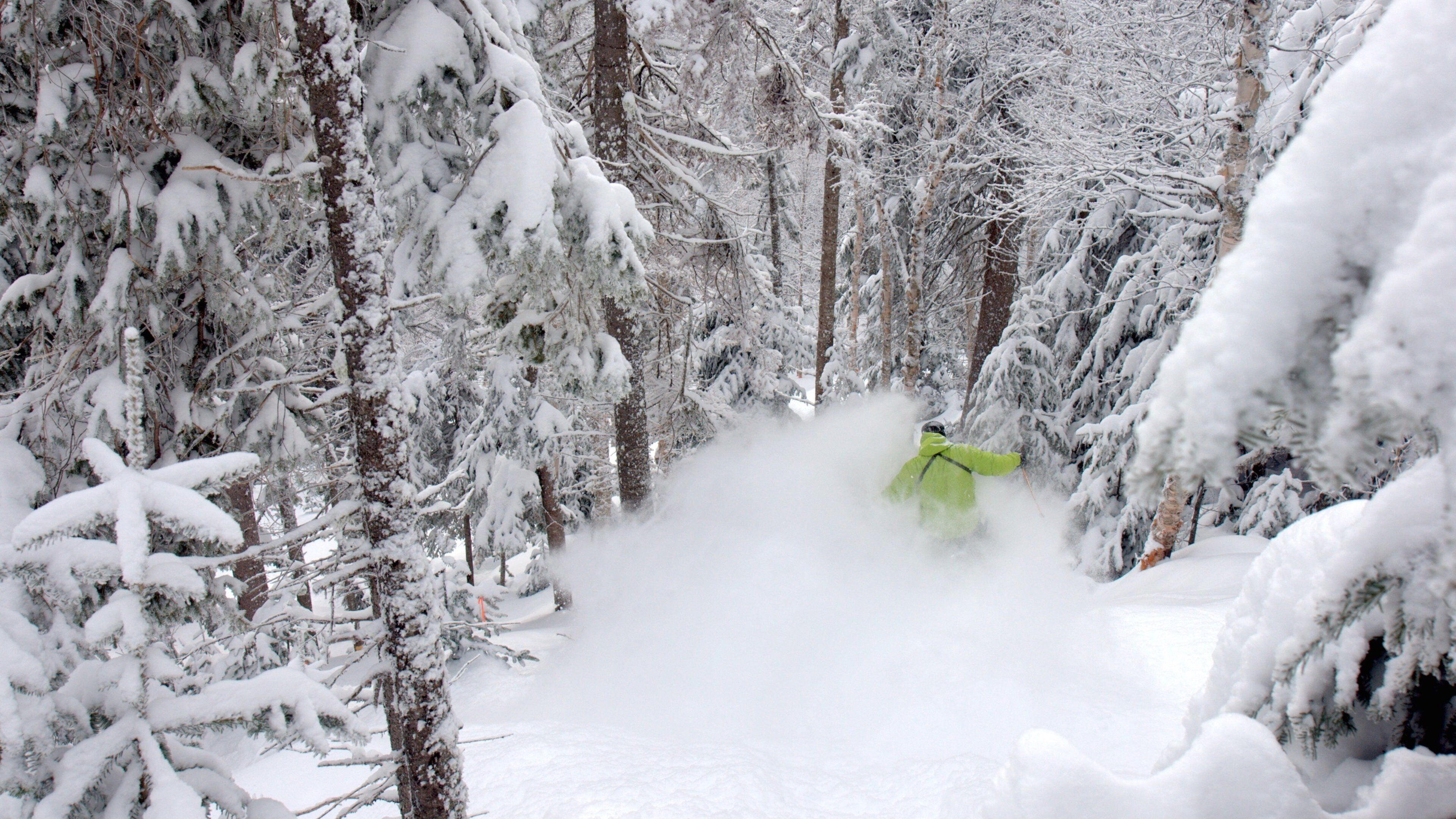 Estación de esquí Le Massif de Charlevoix que incluye esquiar en la nieve, nieve y escenas forestales