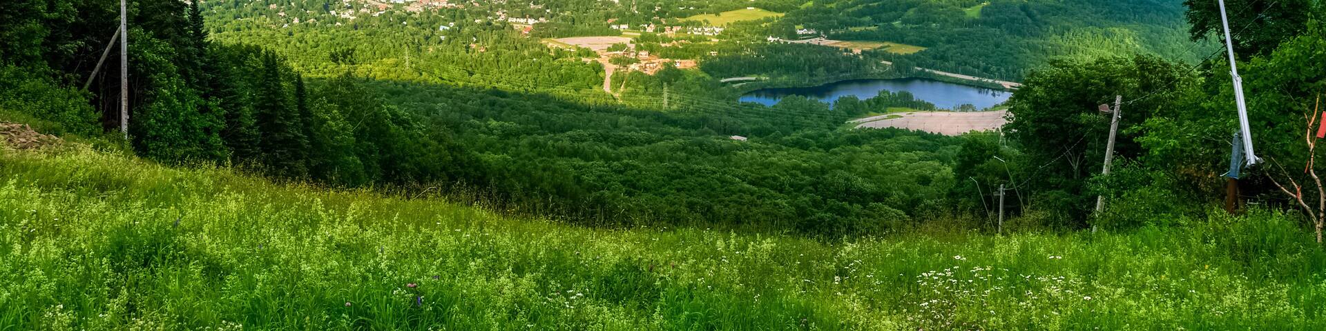 A lush green landscape with a lake, a small town, and distant mountains under a partly cloudy sky.